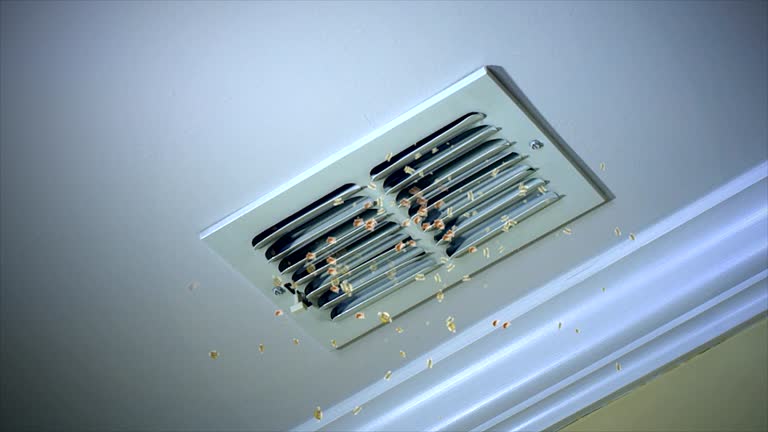 Best Ductwork Cleaning Services  in Moonachie, NJ